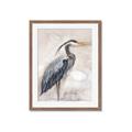 Picture of Blue Egret _GroupedProduct_Rectangle_Portrait_Framed_Matted_