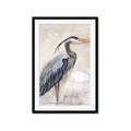 Picture of Blue Egret _GroupedProduct_Rectangle_Portrait_Framed_Matted_