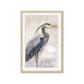 Picture of Blue Egret _GroupedProduct_Rectangle_Portrait_Framed_Matted_