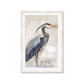 Picture of Blue Egret _GroupedProduct_Rectangle_Portrait_Framed_Matted_