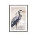 Picture of Blue Egret _GroupedProduct_Rectangle_Portrait_Framed_Matted_