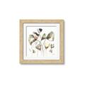 Picture of Swift Ginko Square I _GroupedProduct_Square_Framed_Matted_