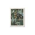 Picture of Jungle Safari I _GroupedProduct_Rectangle_Portrait_Framed_Matted_