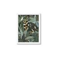 Picture of Jungle Safari I _GroupedProduct_Rectangle_Portrait_Framed_Matted_
