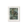 Picture of Jungle Safari I _GroupedProduct_Rectangle_Portrait_Framed_Matted_