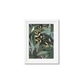 Picture of Jungle Safari I _GroupedProduct_Rectangle_Portrait_Framed_Matted_