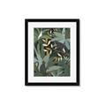 Picture of Jungle Safari I _GroupedProduct_Rectangle_Portrait_Framed_Matted_