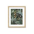 Picture of Jungle Safari I _GroupedProduct_Rectangle_Portrait_Framed_Matted_