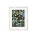 Picture of Jungle Safari I _GroupedProduct_Rectangle_Portrait_Framed_Matted_