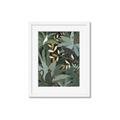 Picture of Jungle Safari I _GroupedProduct_Rectangle_Portrait_Framed_Matted_