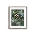 Picture of Jungle Safari I _GroupedProduct_Rectangle_Portrait_Framed_Matted_