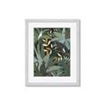 Picture of Jungle Safari I _GroupedProduct_Rectangle_Portrait_Framed_Matted_