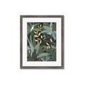 Picture of Jungle Safari I _GroupedProduct_Rectangle_Portrait_Framed_Matted_