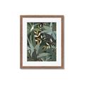Picture of Jungle Safari I _GroupedProduct_Rectangle_Portrait_Framed_Matted_