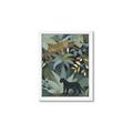 Picture of Jungle Safari II _GroupedProduct_Rectangle_Portrait_Framed_Matted_
