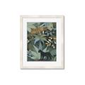Picture of Jungle Safari II _GroupedProduct_Rectangle_Portrait_Framed_Matted_