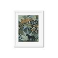 Picture of Jungle Safari II _GroupedProduct_Rectangle_Portrait_Framed_Matted_