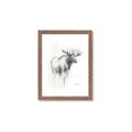 Picture of Moose Charcoal _GroupedProduct_Rectangle_Portrait_Framed_Matted_