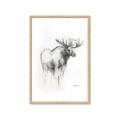 Picture of Moose Charcoal _GroupedProduct_Rectangle_Portrait_Framed_Matted_