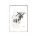 Picture of Moose Charcoal _GroupedProduct_Rectangle_Portrait_Framed_Matted_