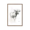 Picture of Moose Charcoal _GroupedProduct_Rectangle_Portrait_Framed_Matted_