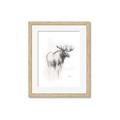 Picture of Moose Charcoal _GroupedProduct_Rectangle_Portrait_Framed_Matted_