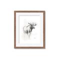 Picture of Moose Charcoal _GroupedProduct_Rectangle_Portrait_Framed_Matted_