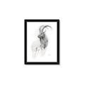 Picture of Ram Charcoal _GroupedProduct_Rectangle_Portrait_Framed_Matted_