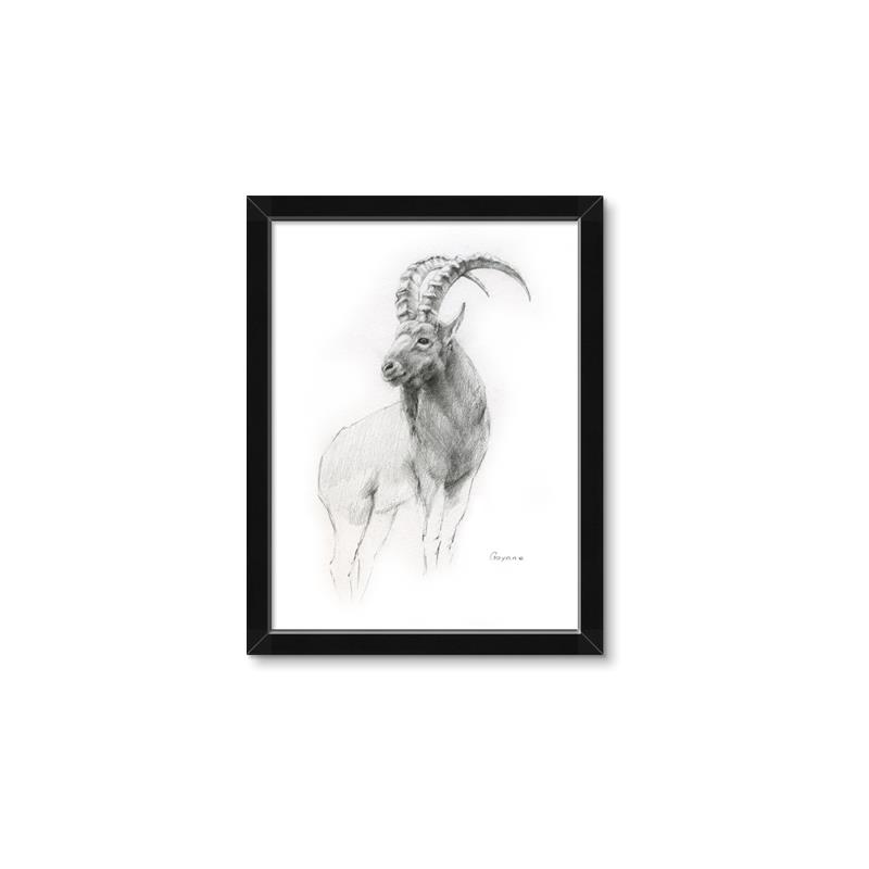 Picture of Ram Charcoal _GroupedProduct_Rectangle_Portrait_Framed_Matted_