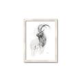 Picture of Ram Charcoal _GroupedProduct_Rectangle_Portrait_Framed_Matted_