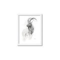 Picture of Ram Charcoal _GroupedProduct_Rectangle_Portrait_Framed_Matted_
