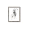 Picture of Ram Charcoal _GroupedProduct_Rectangle_Portrait_Framed_Matted_
