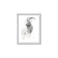 Picture of Ram Charcoal _GroupedProduct_Rectangle_Portrait_Framed_Matted_