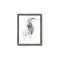 Picture of Ram Charcoal _GroupedProduct_Rectangle_Portrait_Framed_Matted_