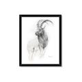 Picture of Ram Charcoal _GroupedProduct_Rectangle_Portrait_Framed_Matted_