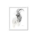 Picture of Ram Charcoal _GroupedProduct_Rectangle_Portrait_Framed_Matted_