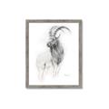 Picture of Ram Charcoal _GroupedProduct_Rectangle_Portrait_Framed_Matted_