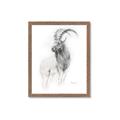 Picture of Ram Charcoal _GroupedProduct_Rectangle_Portrait_Framed_Matted_