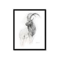 Picture of Ram Charcoal _GroupedProduct_Rectangle_Portrait_Framed_Matted_