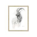 Picture of Ram Charcoal _GroupedProduct_Rectangle_Portrait_Framed_Matted_