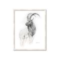 Picture of Ram Charcoal _GroupedProduct_Rectangle_Portrait_Framed_Matted_