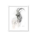 Picture of Ram Charcoal _GroupedProduct_Rectangle_Portrait_Framed_Matted_