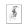 Picture of Ram Charcoal _GroupedProduct_Rectangle_Portrait_Framed_Matted_