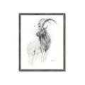 Picture of Ram Charcoal _GroupedProduct_Rectangle_Portrait_Framed_Matted_