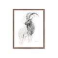 Picture of Ram Charcoal _GroupedProduct_Rectangle_Portrait_Framed_Matted_