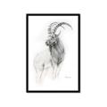 Picture of Ram Charcoal _GroupedProduct_Rectangle_Portrait_Framed_Matted_