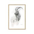 Picture of Ram Charcoal _GroupedProduct_Rectangle_Portrait_Framed_Matted_