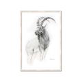 Picture of Ram Charcoal _GroupedProduct_Rectangle_Portrait_Framed_Matted_