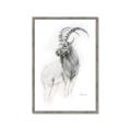 Picture of Ram Charcoal _GroupedProduct_Rectangle_Portrait_Framed_Matted_