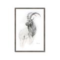 Picture of Ram Charcoal _GroupedProduct_Rectangle_Portrait_Framed_Matted_